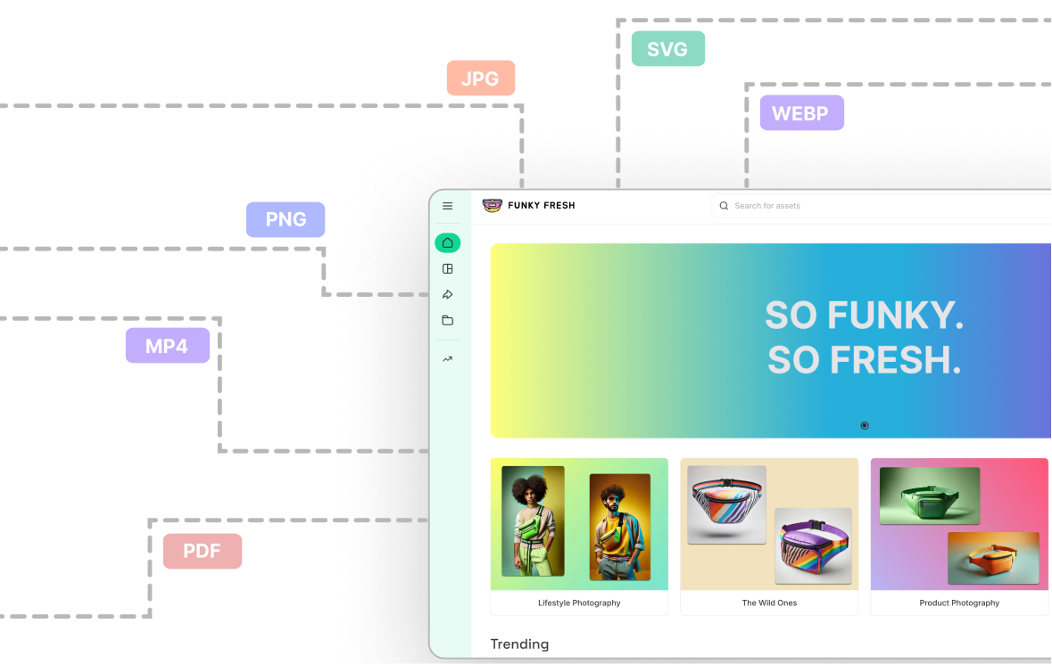 Distribution flowchart with file formats branching to brand portal