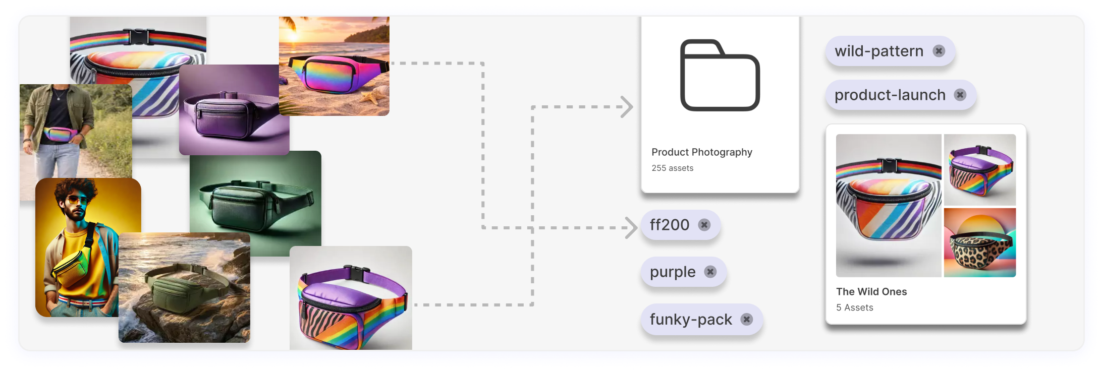 Assets flowing into folders, collages, and portals
