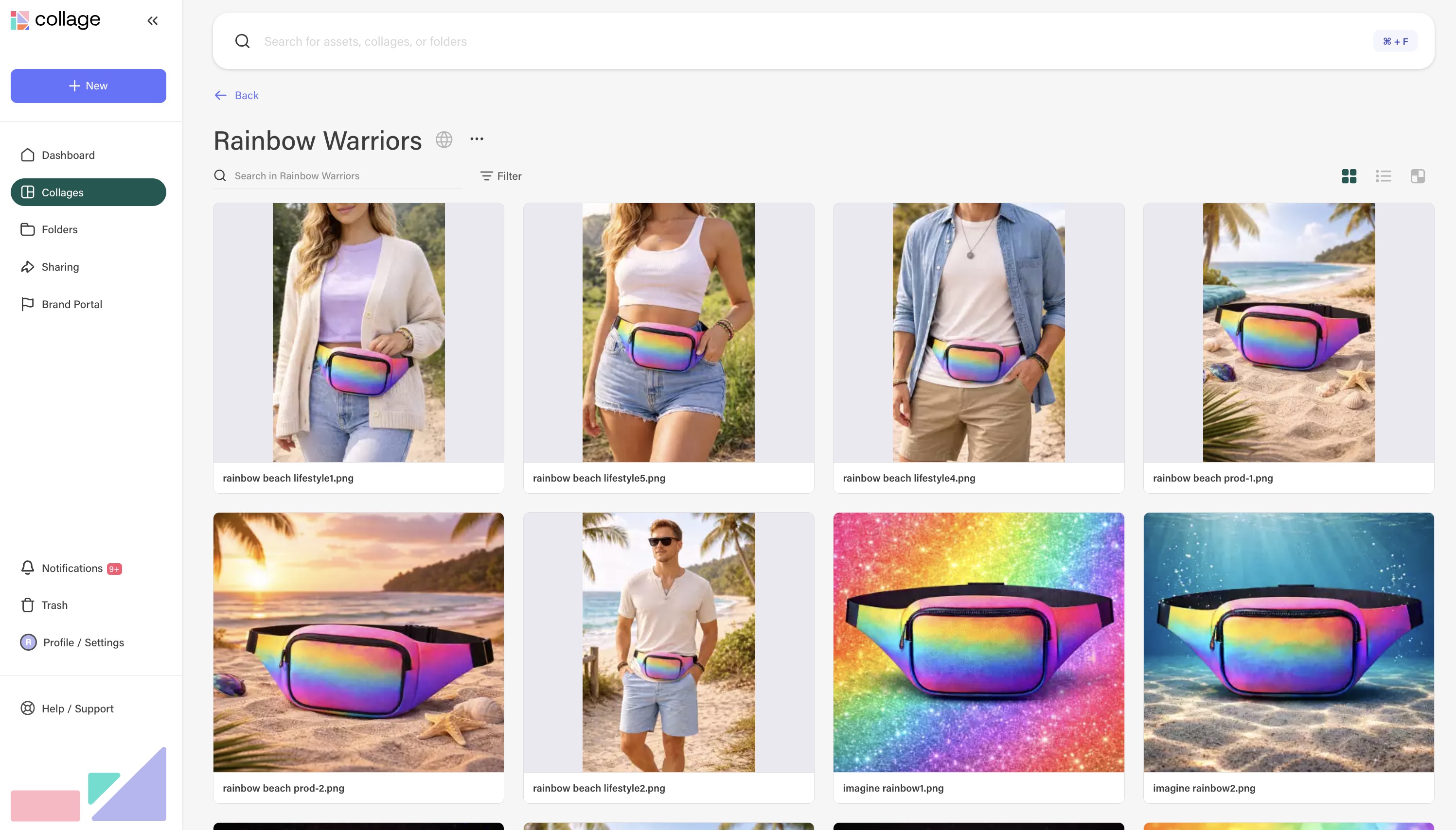 Rainbow Warriors collage showing product photos in grid view