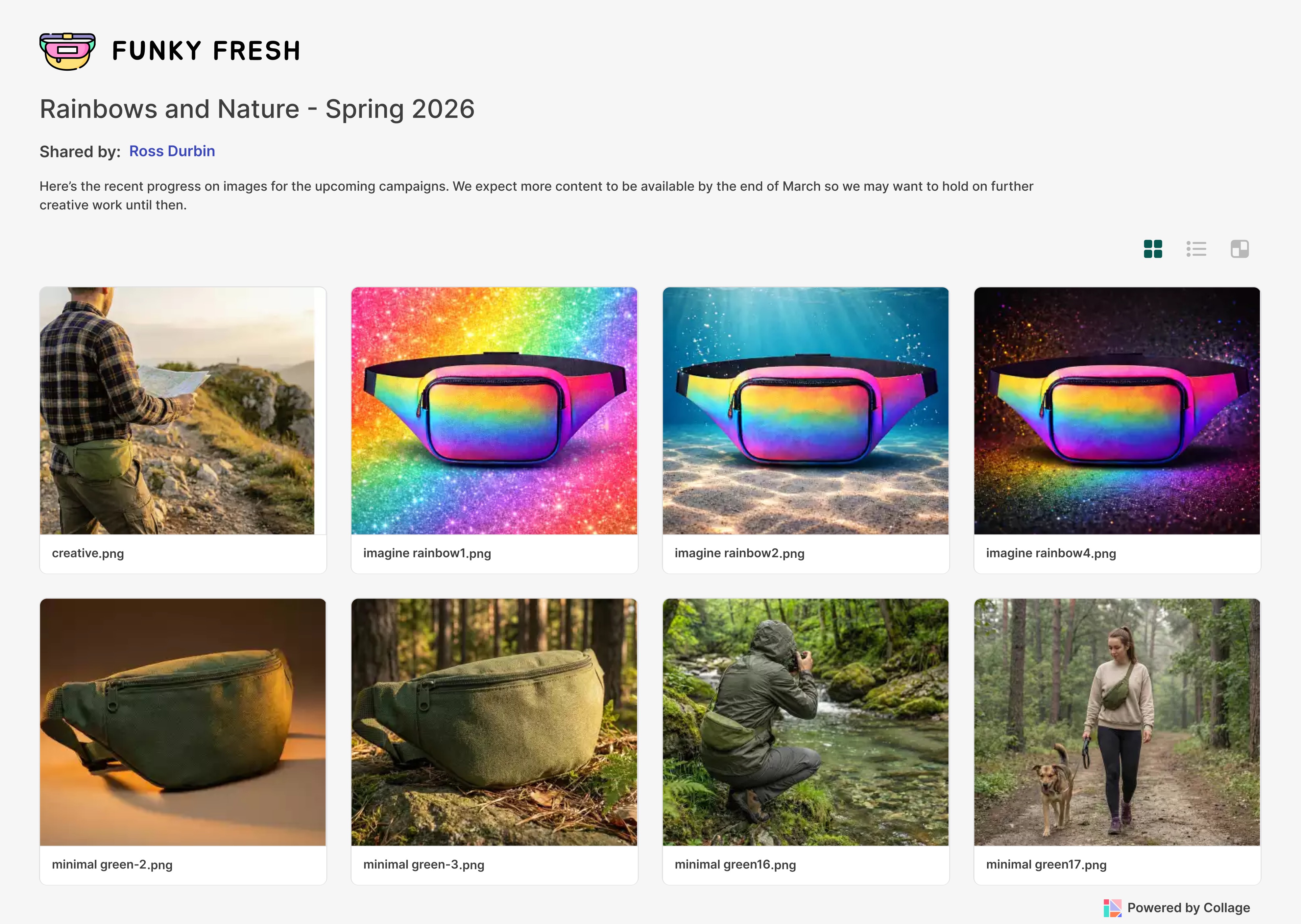 Collage view with one asset selected for sharing